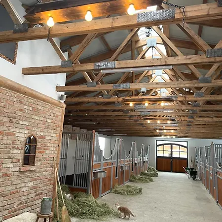 Lindenhof Panorama-suite Lägenhet Hulben